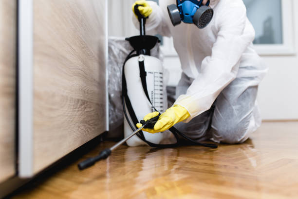 Best Mosquito Control Services  in Glouster, OH
