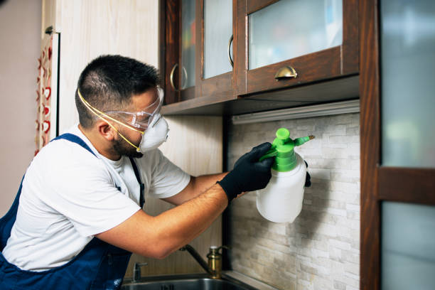 Best Pest Control for Businesses  in Glouster, OH