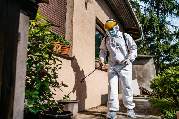 Best Pest Control Near Me  in Glouster, OH