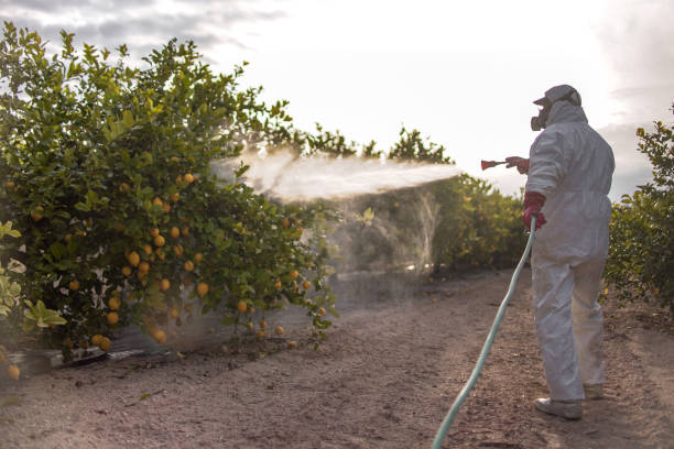 Best Affordable Pest Control Services  in Glouster, OH