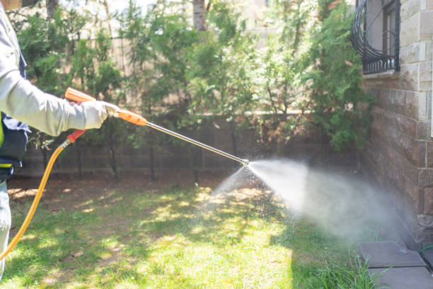 Best Pest Inspection Near Me  in Glouster, OH