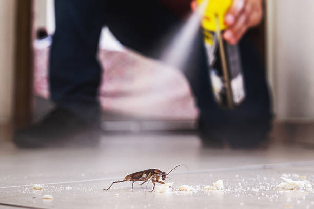 Best Residential Pest Control  in Glouster, OH