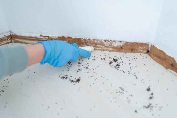 Best Pest Removal Services  in Glouster, OH