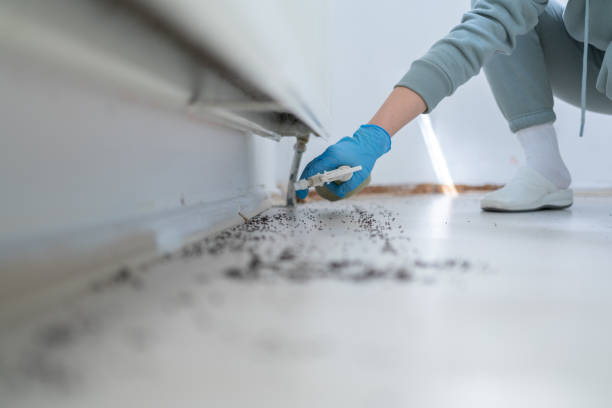 Best Pest Prevention Services  in Glouster, OH